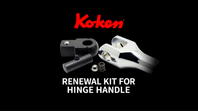 RENEWAL KIT FOR HINGE HANDLE